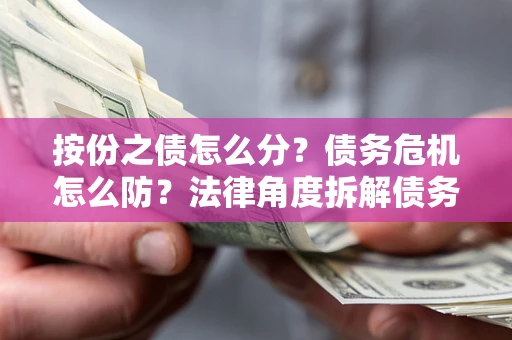 武汉按份之债怎么分？债务危机怎么防？法律角度拆解债务分配与风险自保指南