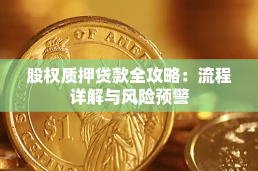 武汉股权质押贷款全攻略：流程详解与风险预警