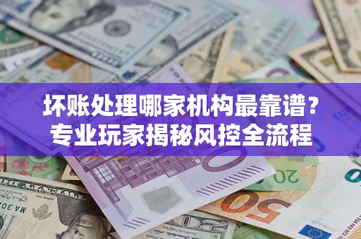 武汉坏账处理哪家机构最靠谱？专业玩家揭秘风控全流程
