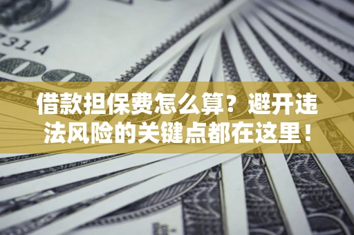 武汉借款担保费怎么算？避开违法风险的关键点都在这里！