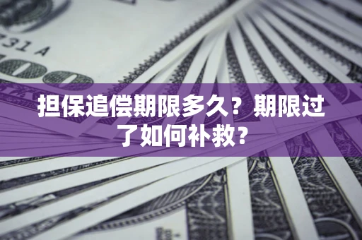武汉担保追偿期限多久？期限过了如何补救？