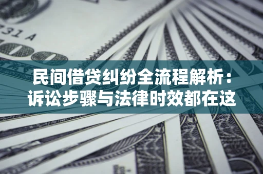 武汉民间借贷纠纷全流程解析：诉讼步骤与法律时效都在这儿了