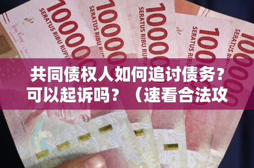 武汉共同债权人如何追讨债务？可以起诉吗？（速看合法攻略）