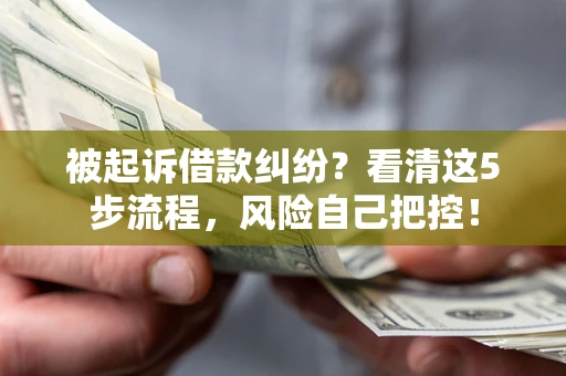 武汉被起诉借款纠纷？看清这5步流程，风险自己把控！