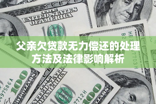 武汉父亲欠贷款无力偿还的处理方法及法律影响解析