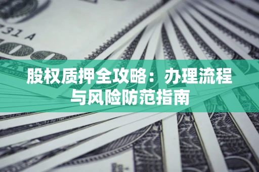 武汉股权质押全攻略：办理流程与风险防范指南