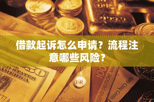 武汉借款起诉怎么申请？流程注意哪些风险？