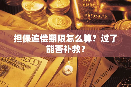 武汉担保追偿期限怎么算？过了能否补救？